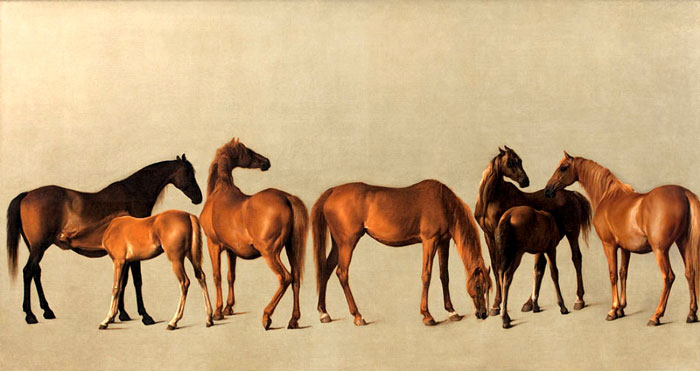 Mares And Foals Without A Background (1762) By George Stubbs