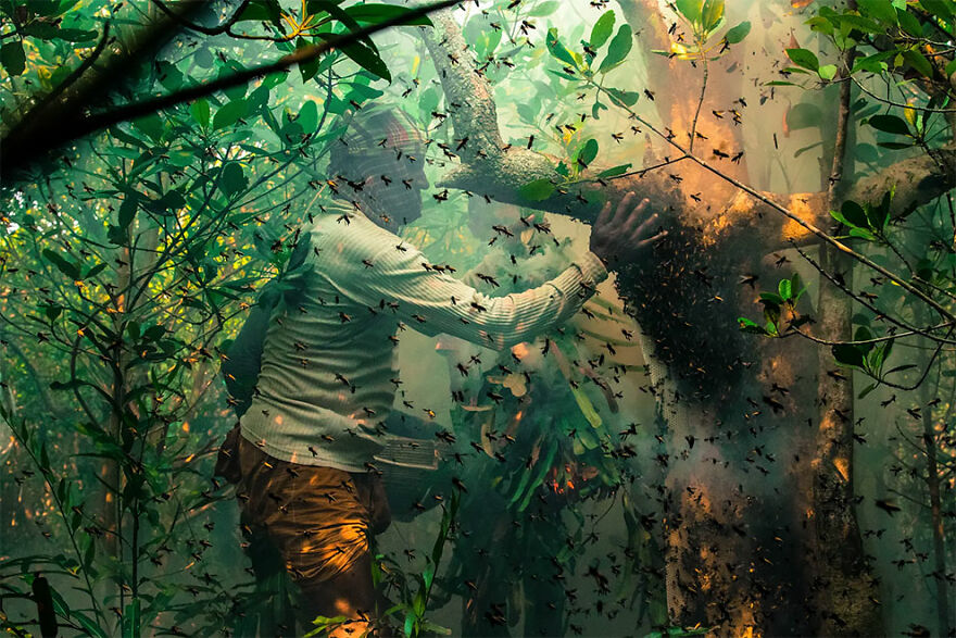 Winner Of Mangroves And Humans: Honey Hunters - Muhammad Mostafigur Rahman, Bangladesh