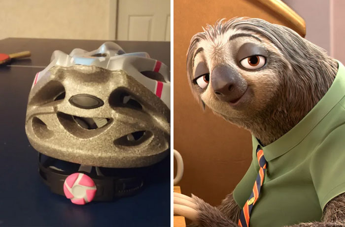 Sloth From Zootopia and similar looking bicycle helmet 