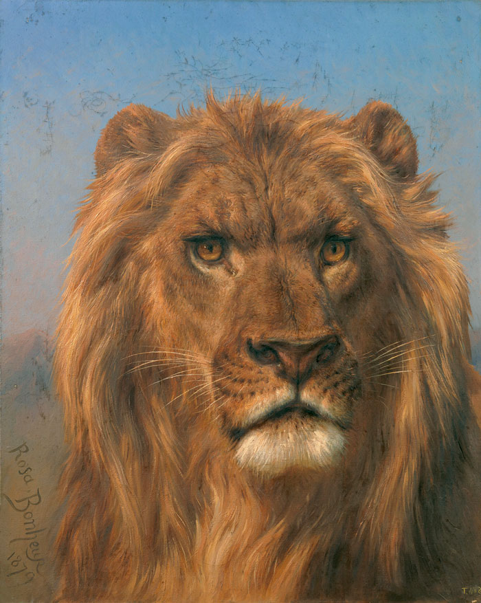 Portrait Of A Lion (1879) By Rosa Bonheur