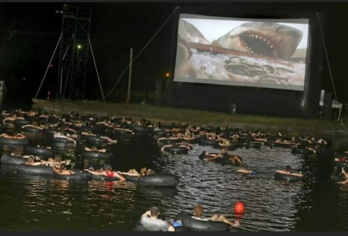 Awww! Let's All Go Floating In Water, While Watching Jaws