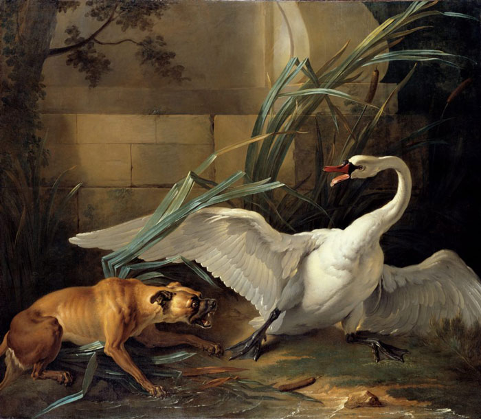 Swan Attacked By A Dog (1745) By Jean-Baptiste Oudry