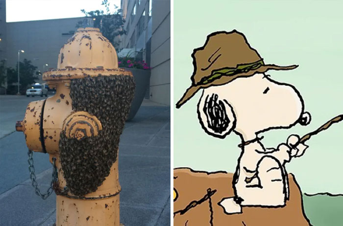 Snoopy and similar looking fire hydrant with bees 