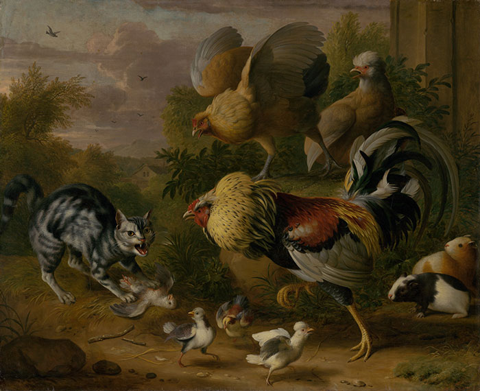 Cat Among Roosters (1706–1710) By Jacob Bogdani
