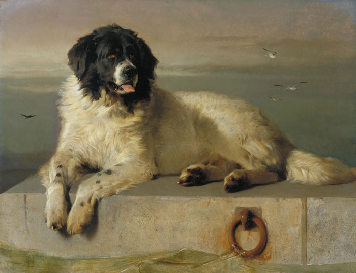 A Distinguished Member Of The Humane Society (1831) By Sir Edwin Henry Landseer