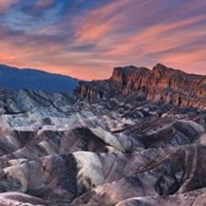 diana_thacker avatar