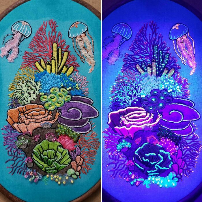 Coral Reef Day/Night