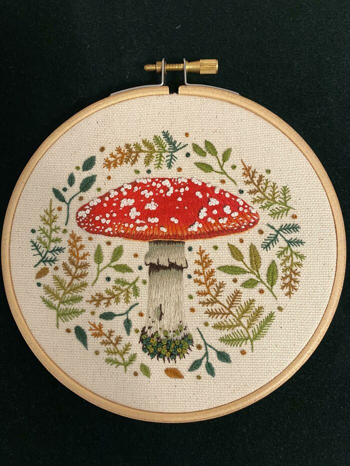 Finished This Beautiful Mushroom Pattern By Emilie Ferris