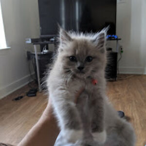 michaelcasey_1 avatar