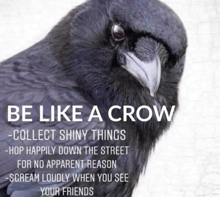 Funny-Bad-Science-Jokes-Memes