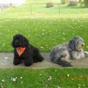 lrockwell1976 avatar