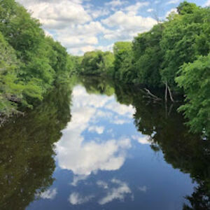 zinagomez-liss avatar