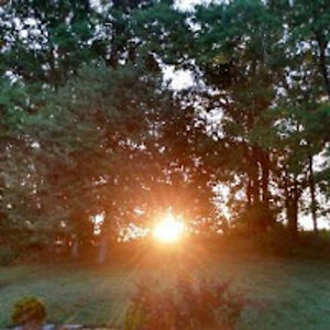 irenegrohsmeyer avatar