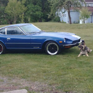 lordsdrive-in avatar