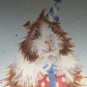 christianstraub avatar