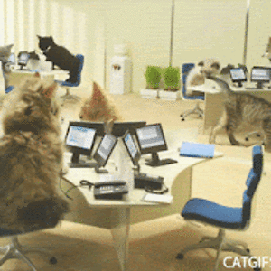 sarahhaderstudent avatar