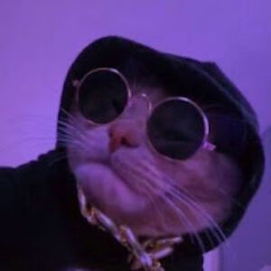 umjogadordefortnite avatar