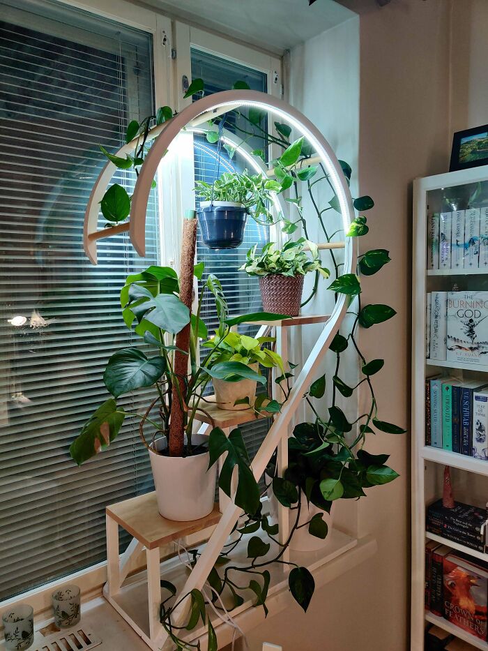 Una estantería de plantas que hice para mi novia 