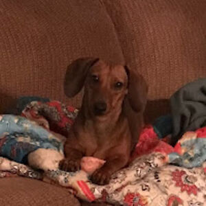 elizabethrobinson avatar