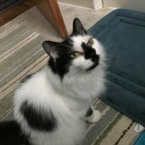 busybettyboyd avatar