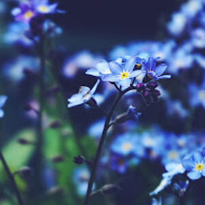 kendallthibodeau avatar