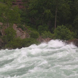 candeebillconyers avatar