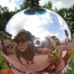 davidschndrd544 avatar