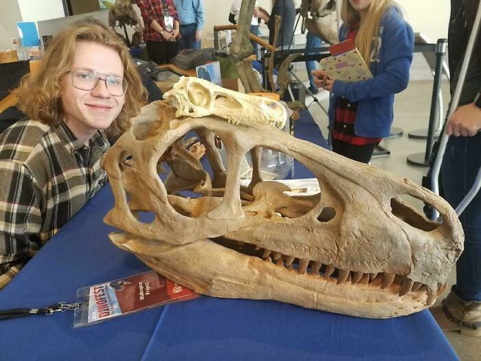The Massive Size Of A Utahraptor Skull, With A Velociraptor Skull And Human Head For Scale