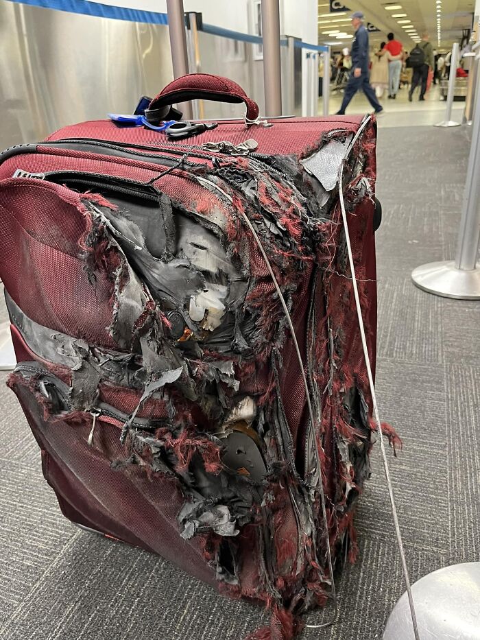 My Uncle's Suitcase After His Flight