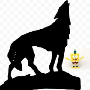 presleyhoward avatar