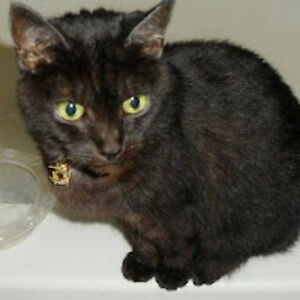 kelliemeisner avatar