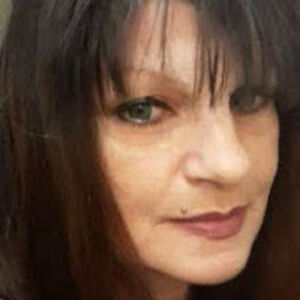 nicolastevens avatar