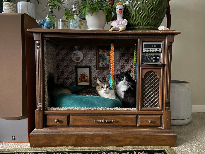  Encontré un viejo televisor junto a la basura. ¡Ahora mis gatos tienen una nueva casita!