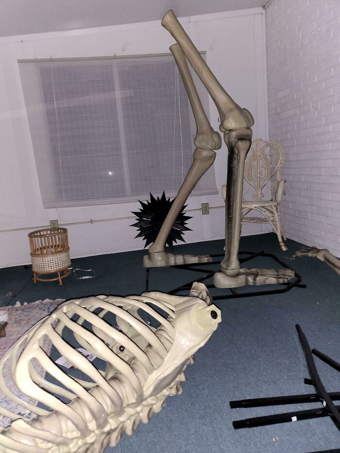 So I Finally Found Someone Who Was Selling A Previously Owned 12ft Skeleton From Home Depot. As You Can See Here, I Started Putting The Bottom Half Of The Skeleton Together Just To Get A Better Scale As To How Big This Thing Is And Yeah