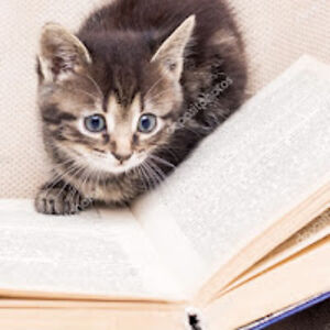 annabellehuff avatar