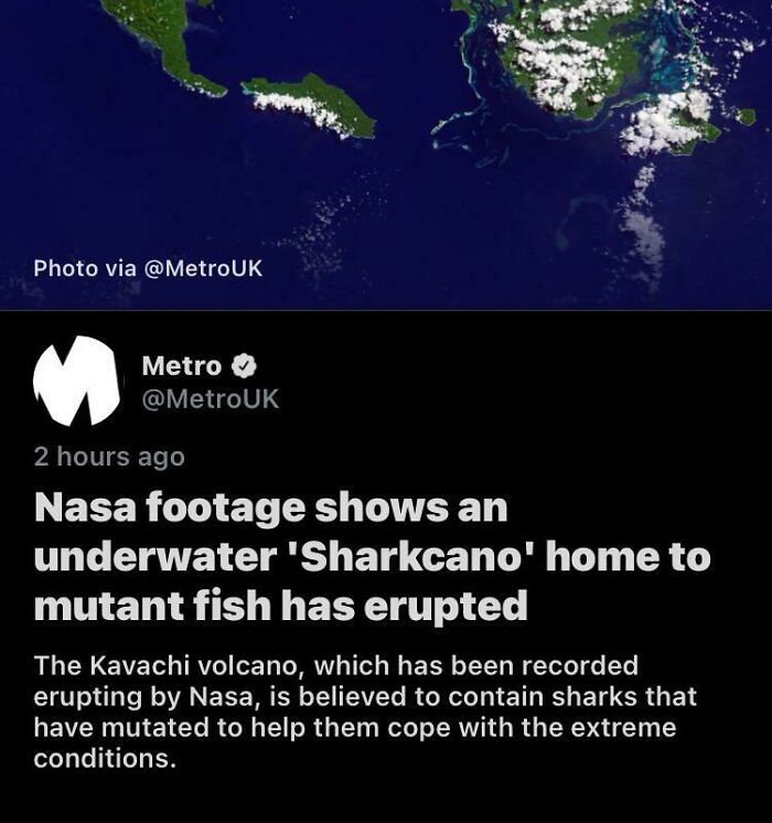 Ah, sí, volcanes activos bajo el agua y tiburones mutantes, eso es lo que necesita el océano, no fue lo suficientemente aterrador como es