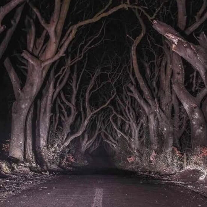 Esta carretera en Irlanda del Norte
