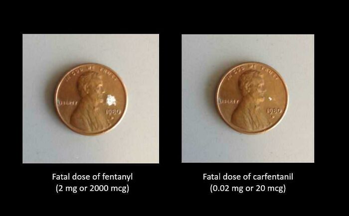 Someone Posted How Low The Fatal Dose Of Fentanyl Is. Here Is Compared To The Fatal Dose Of Carfentani