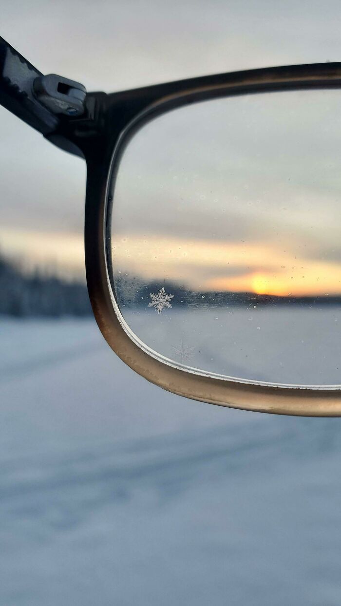 Un lindo copo de nieve posado perfectamente en mis lentes