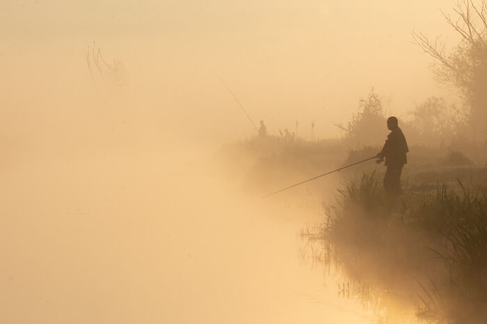 Tomé una foto de mi hermano pescando en la niebla durante la hora dorada