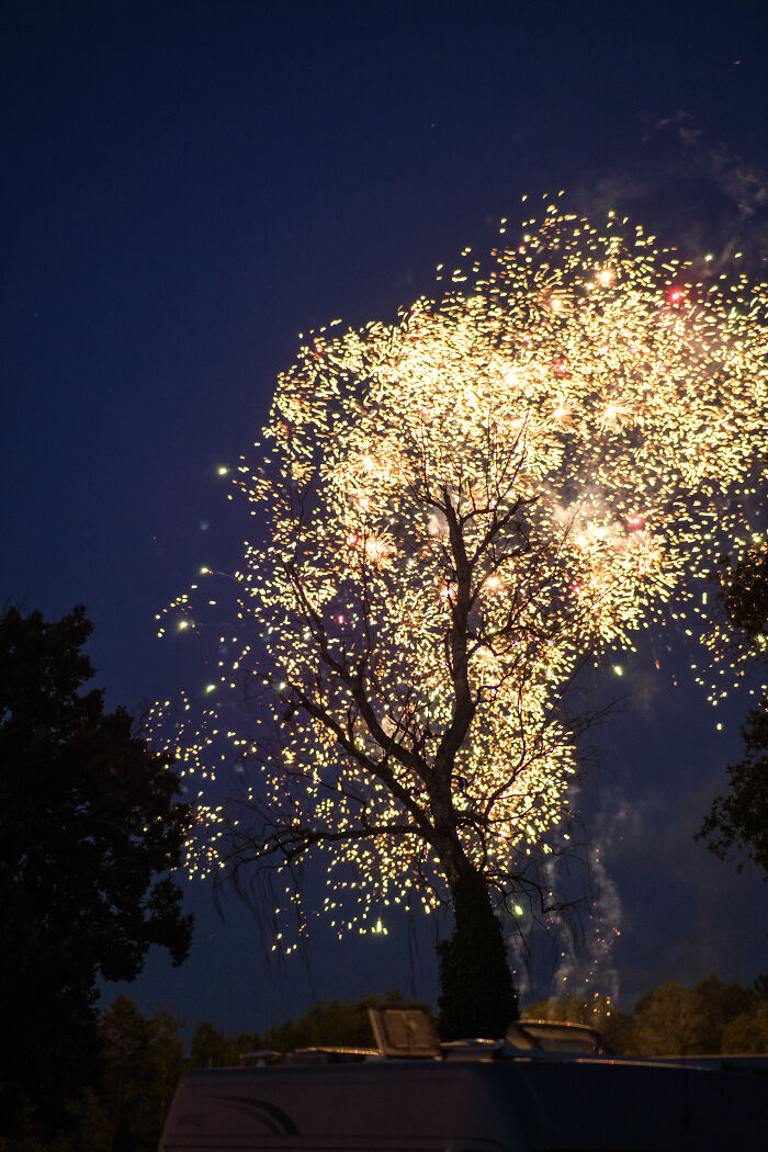 ITAP Of A Firework Behind An Old Tree
