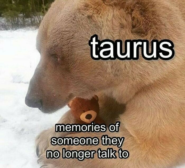 Taurus and their memories of someone they no longer talk to meme