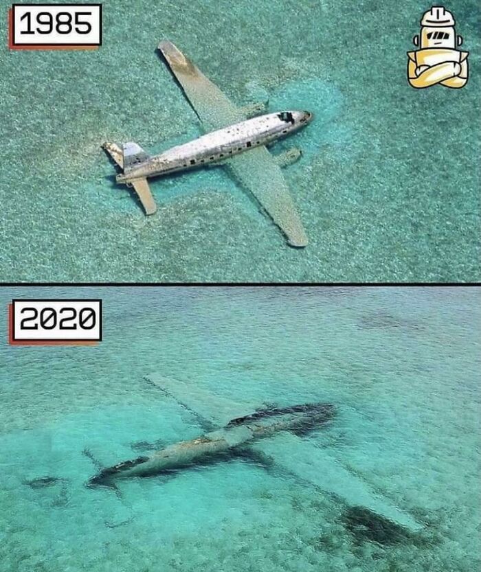 Found On Fb - “Salt Water Slowly Eating Away Pablo Escobar’s Plane. By @sal_qu”