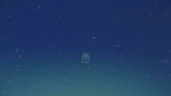 A Chair Sitting On The Ocean Floor Somewhere Off The Coast Of Us
