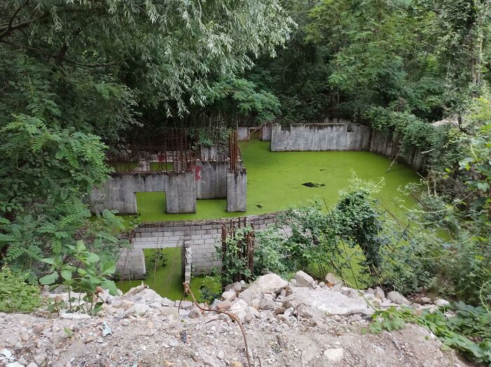 Don't Wanna Know What's Under All The Algae. Found This In Berlin