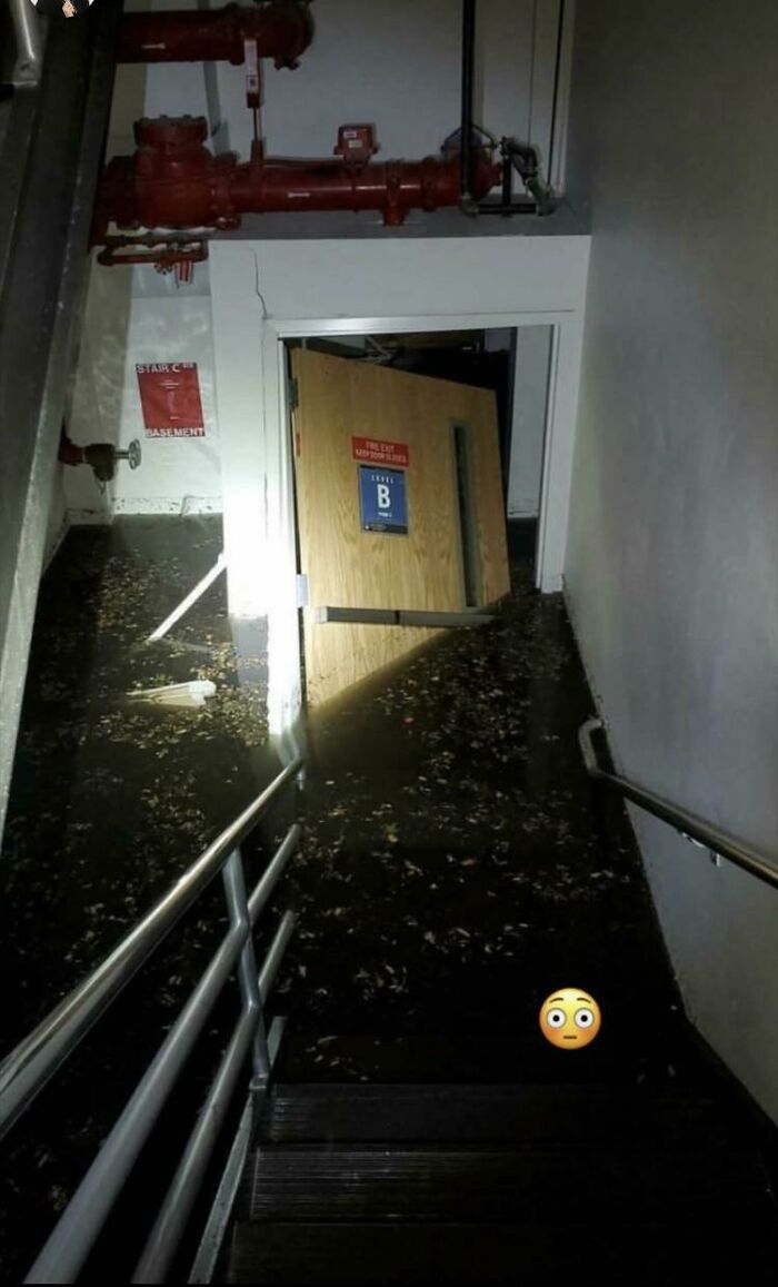 This Flooded Basement, Stairs That Disappear Into Black Water