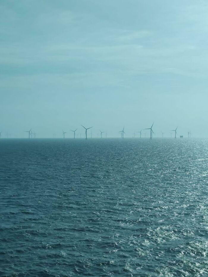 Went Past A Wind Turbine Farm On A Cruise. My Other Half Was Terrified!