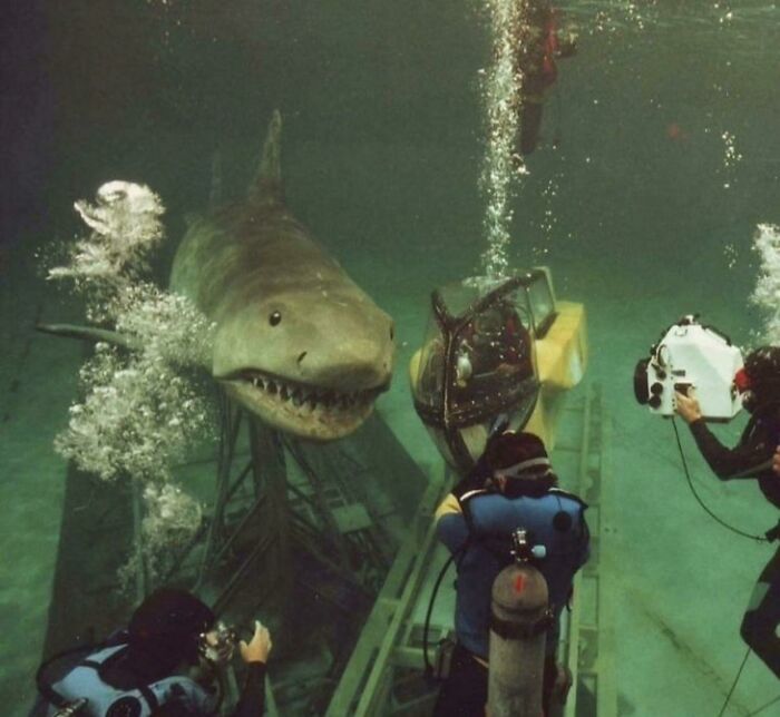 This Bts Photo From Jaws: The Revenge