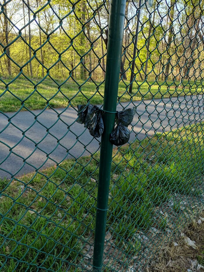 People At The Dog Park I Go To Are Too Lazy To Put Their Poop Bags In The Trash Can So They Hang Them On The Fence