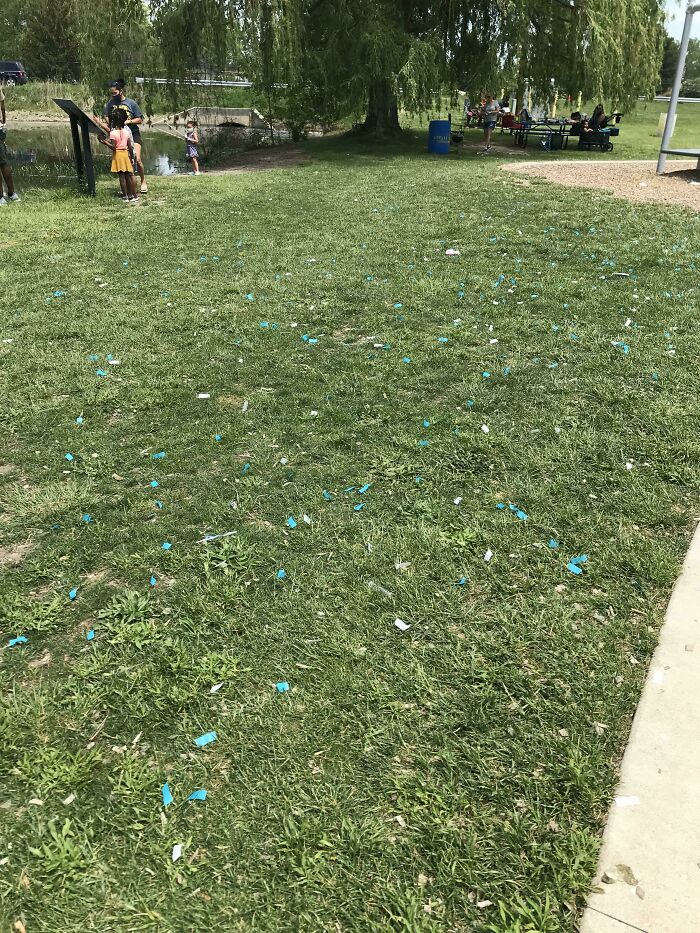 If You Have A Gender Reveal Party And Leave Confetti Everywhere For People To Pick Up, F**k You